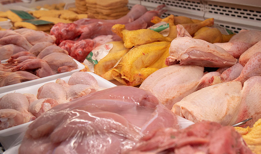 Pollo en la carnicería A. Irigoyen Pamplona