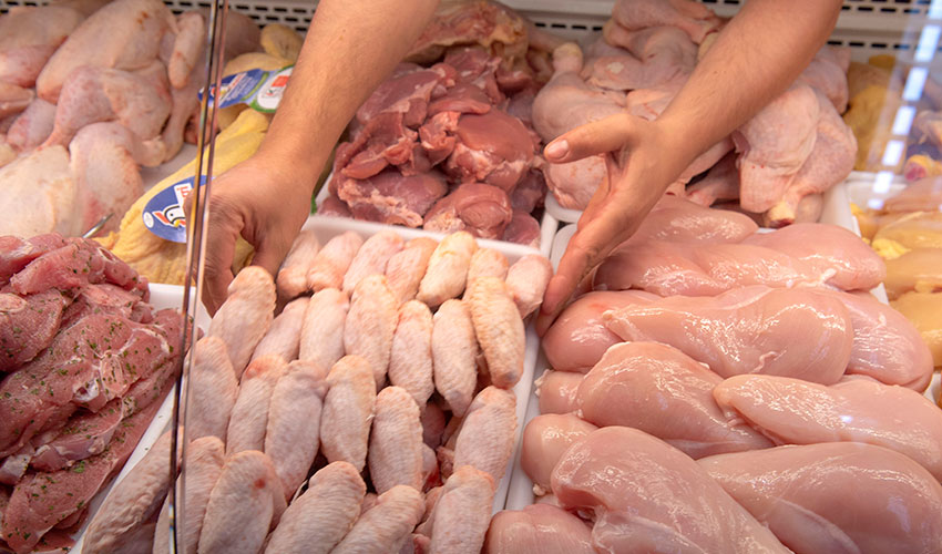 Pollo en la carnicería A. Irigoyen Pamplona