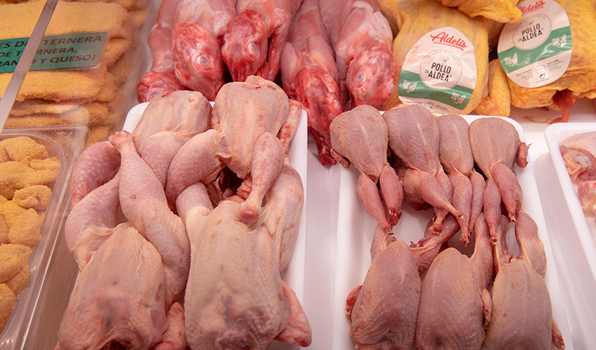 Pollo en la carnicería A. Irigoyen Pamplona